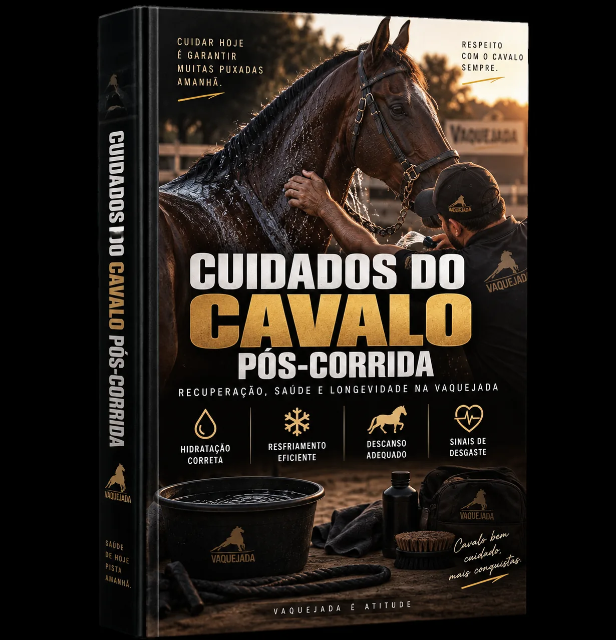 Cuidados do Cavalo Pós-Corrida